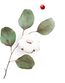 floating_image_06 https://esteban-y-lorena.click/wp-content/uploads/2020/10/floating_image_06.png