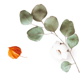 floating_image_07 https://esteban-y-lorena.click/wp-content/uploads/2020/10/floating_image_07.png