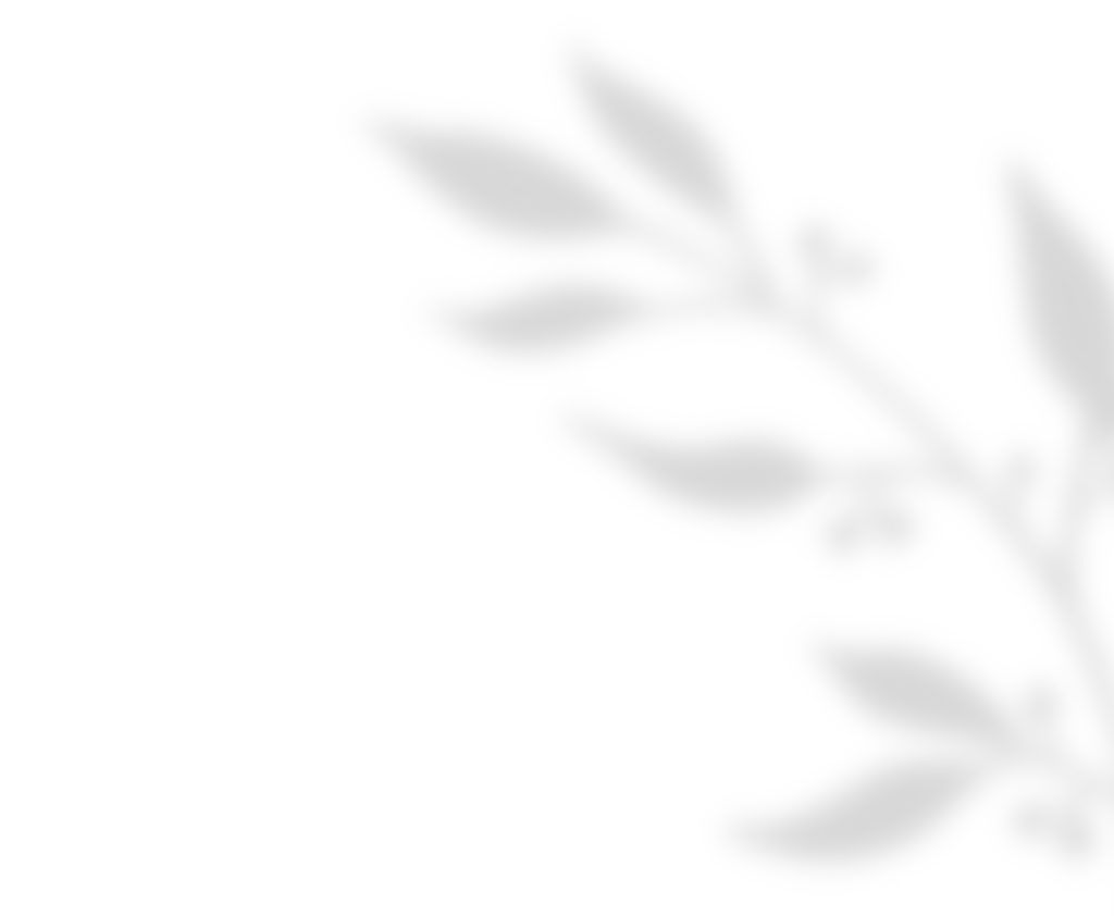 shadow_leaves_01 https://esteban-y-lorena.click/wp-content/uploads/2020/11/shadow_leaves_01.png