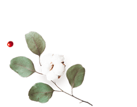 floating_image_flower_01 https://esteban-y-lorena.click/wp-content/uploads/2020/12/floating_image_flower_01.png