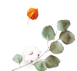 floating_image_flower_02 https://esteban-y-lorena.click/wp-content/uploads/2020/12/floating_image_flower_02.png
