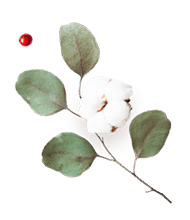 https://esteban-y-lorena.click/wp-content/uploads/2020/12/floating_image_flower_03.png