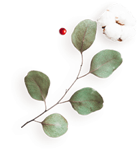 https://esteban-y-lorena.click/wp-content/uploads/2020/12/floating_image_flower_04.png